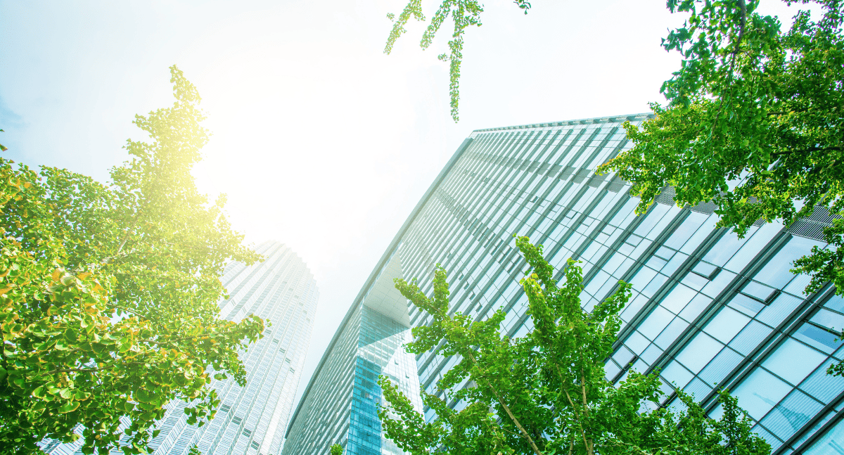 Kiên trúc xanh thân thiện với môi trường