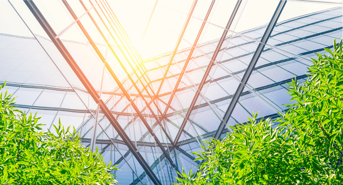 Kiên trúc xanh CMC Architects Việt Nam