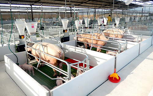 Công ty TNHH Thương Mại Châu Á - Thái Bình Dương Miền Bắc