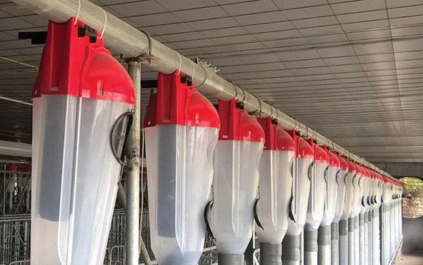 Công ty TNHH Thương Mại Châu Á - Thái Bình Dương Miền Bắc