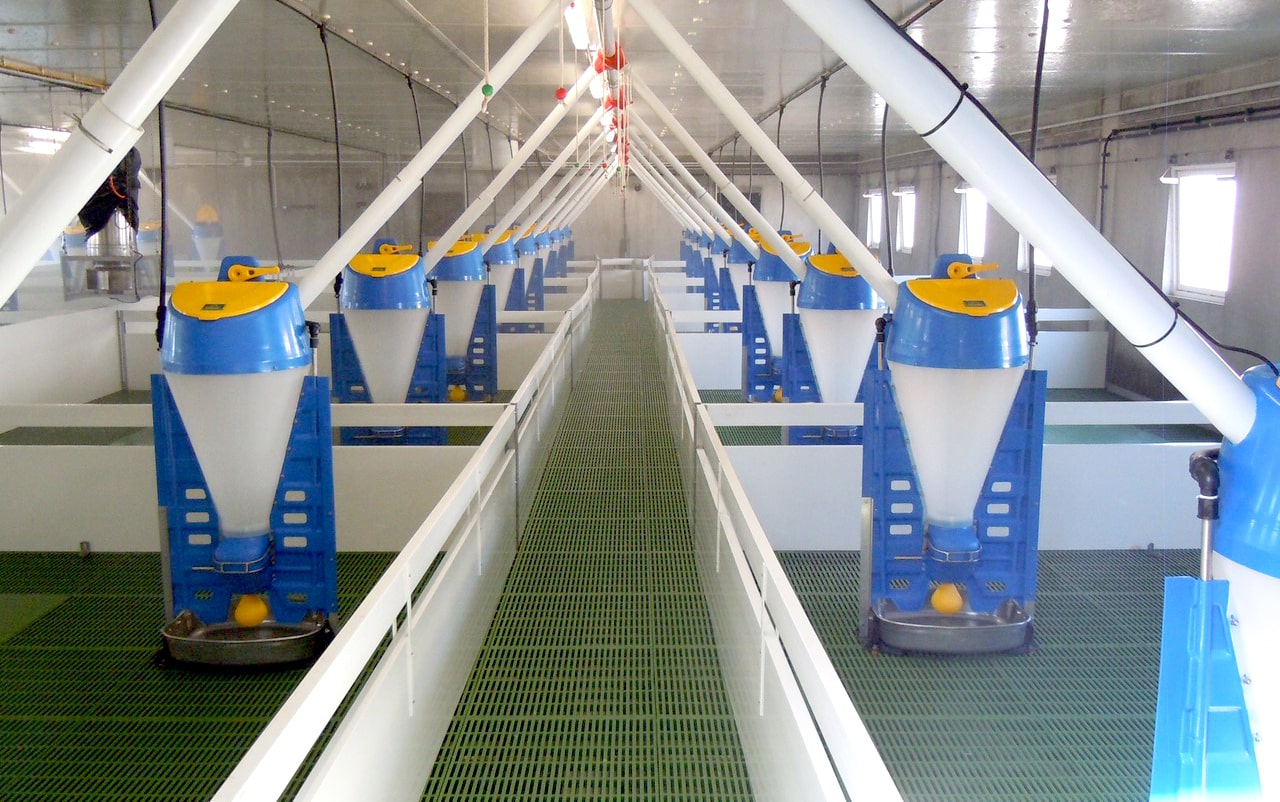 Công ty TNHH Thương Mại Châu Á - Thái Bình Dương Miền Bắc