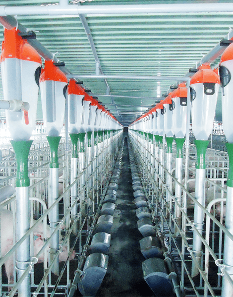 Công ty TNHH Thương Mại Châu Á - Thái Bình Dương Miền Bắc