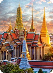 Y tế