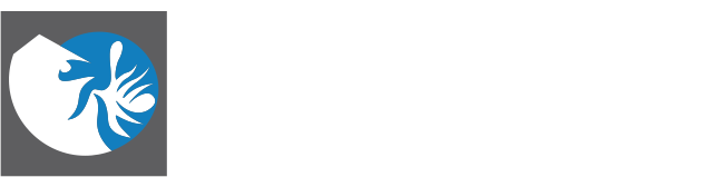 An Cường