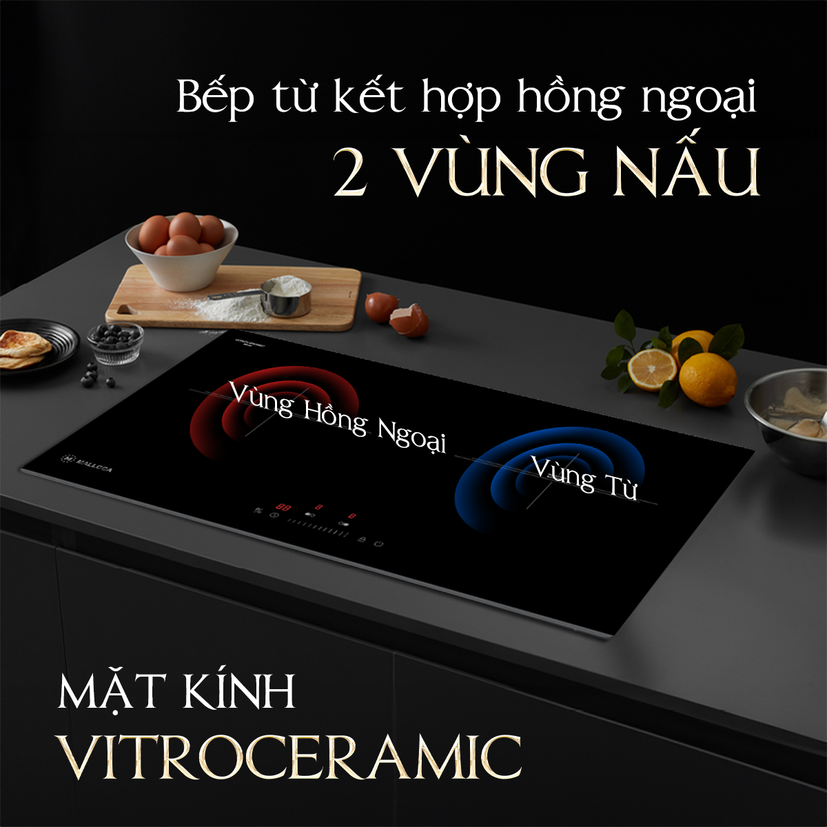 2 vùng nấu, 1 hồng ngoại 1 từ