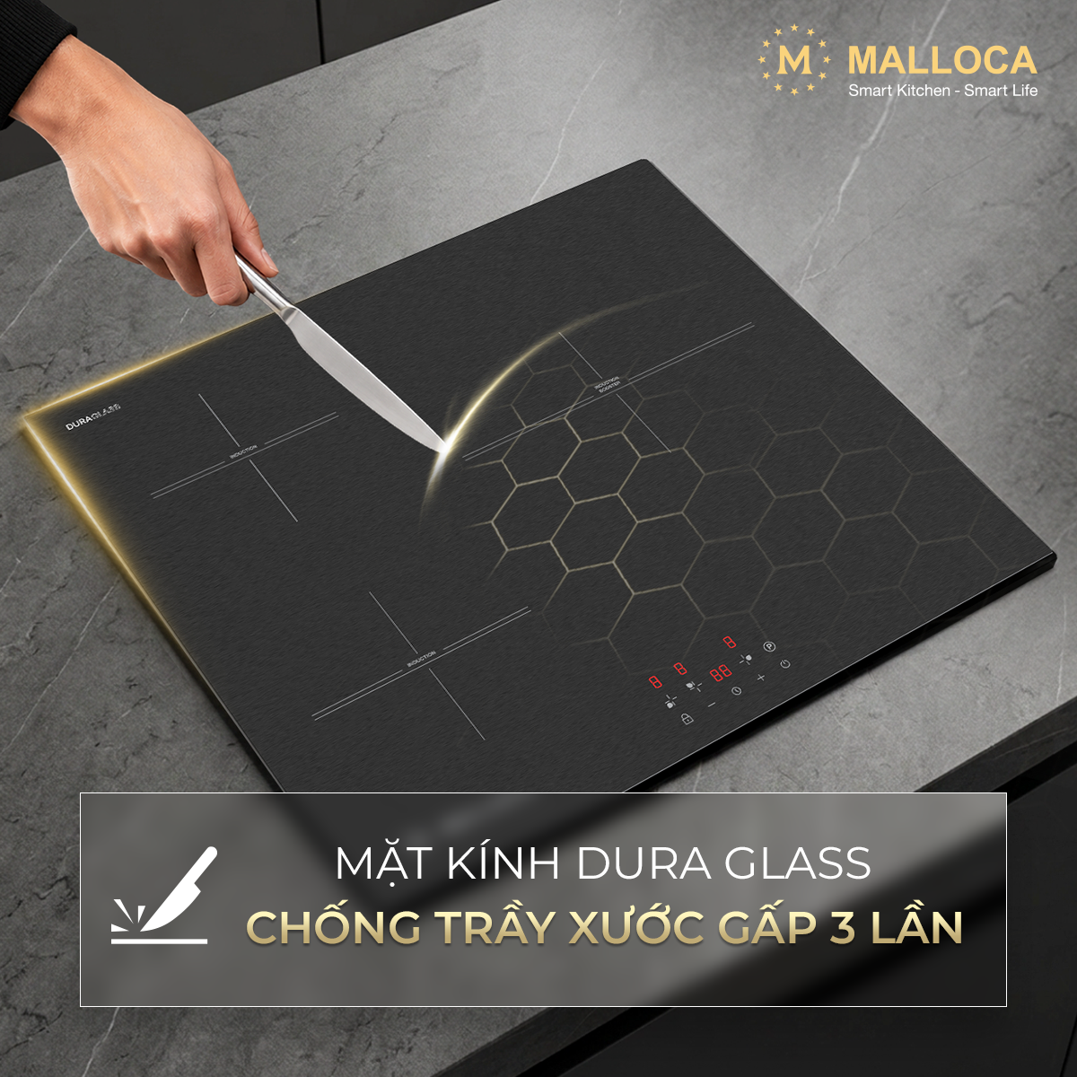 Bếp từ Malloca MH5903IN