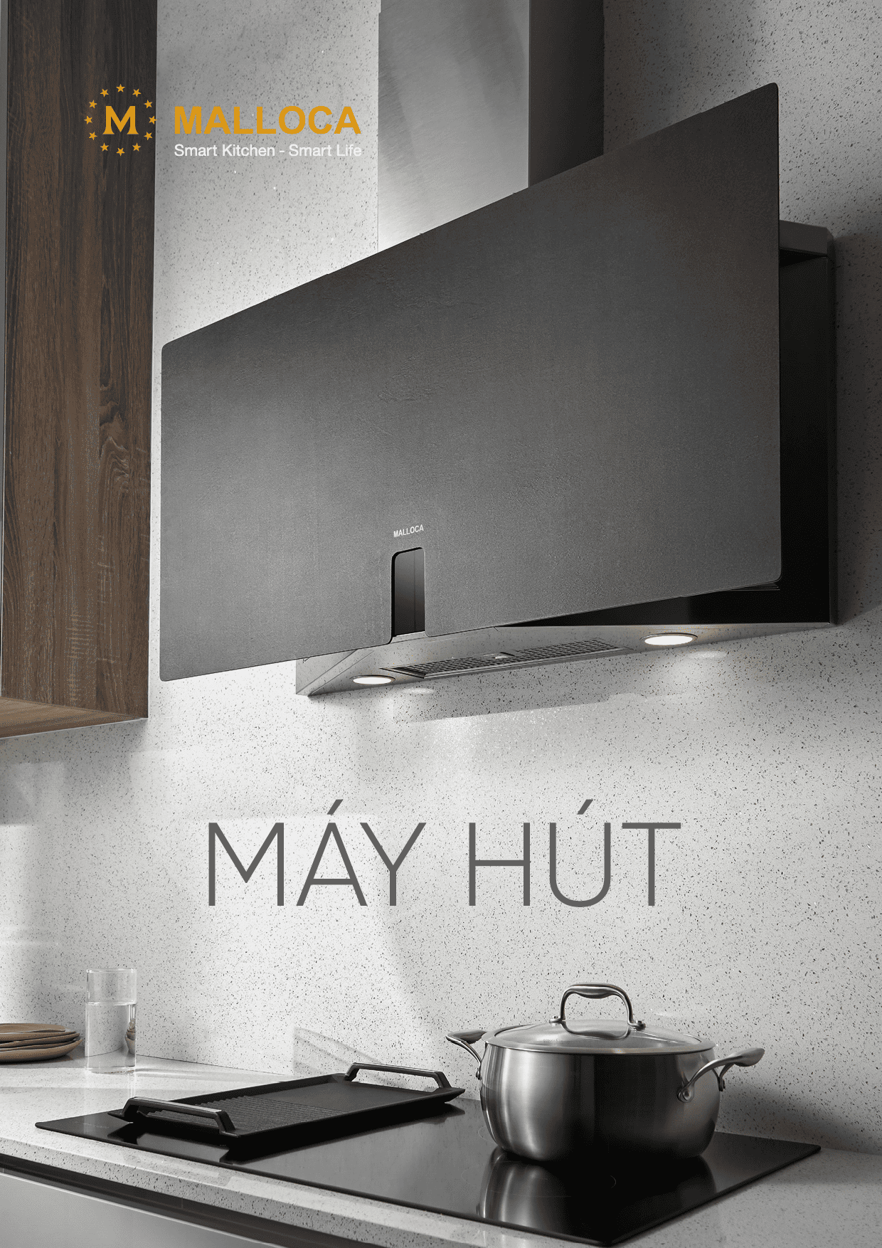 Catalogue Online<br>Máy Hút