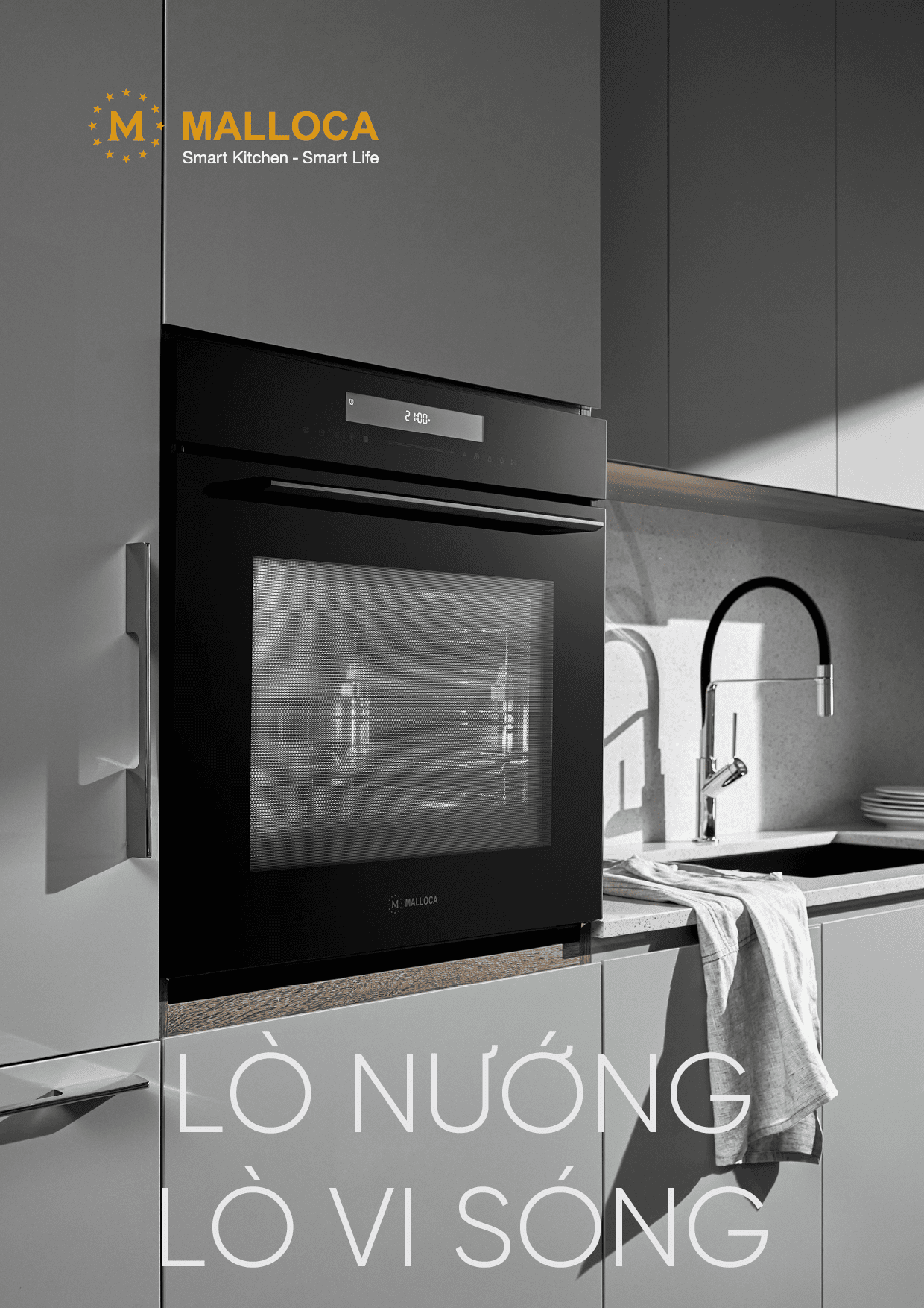 Catalogue Online<br>Lò Nướng Lò Vi Sóng