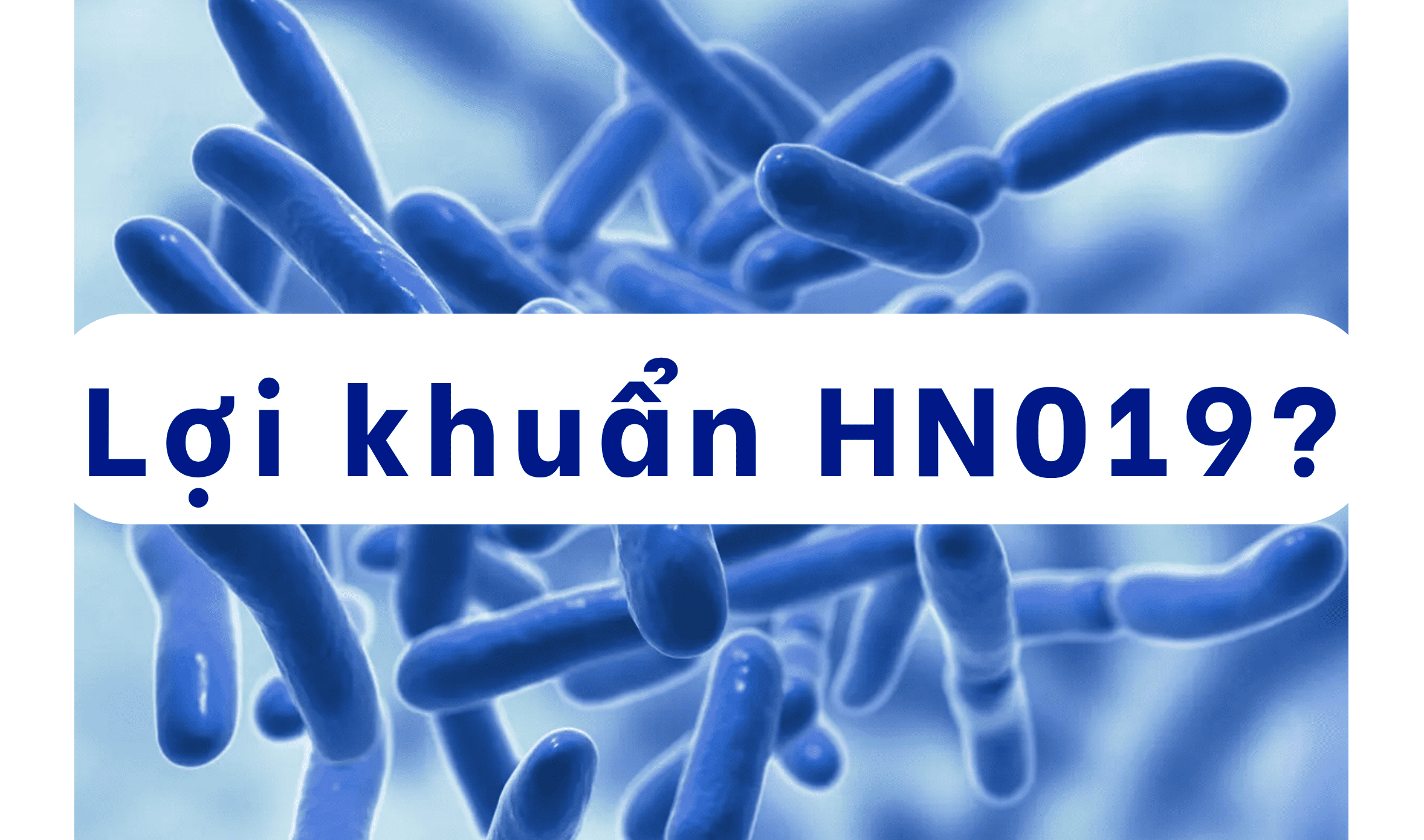 HN019: Lợi khuẩn giúp tăng cường sức đề kháng cho trẻ