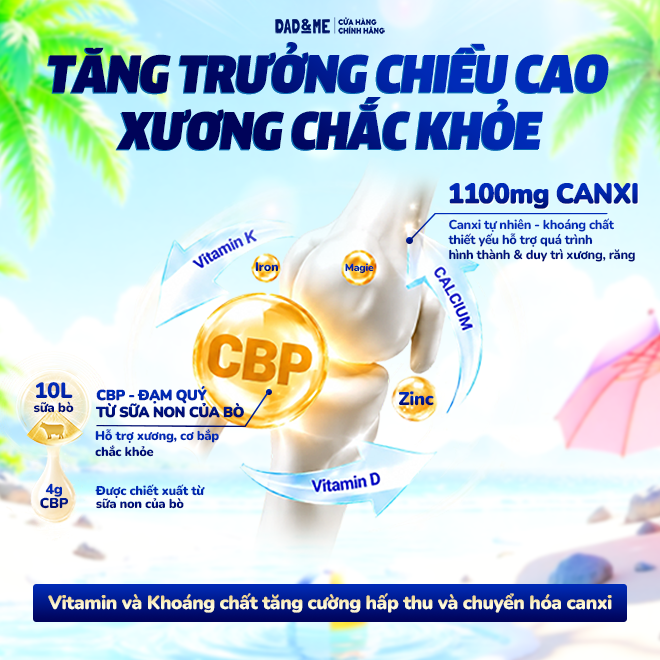 Combo 12 Hộp Sữa bột Dad and Me cho trẻ trên 3 tuổi (800g) - nhập khẩu New Zealand, phát triển toàn diện cho bé