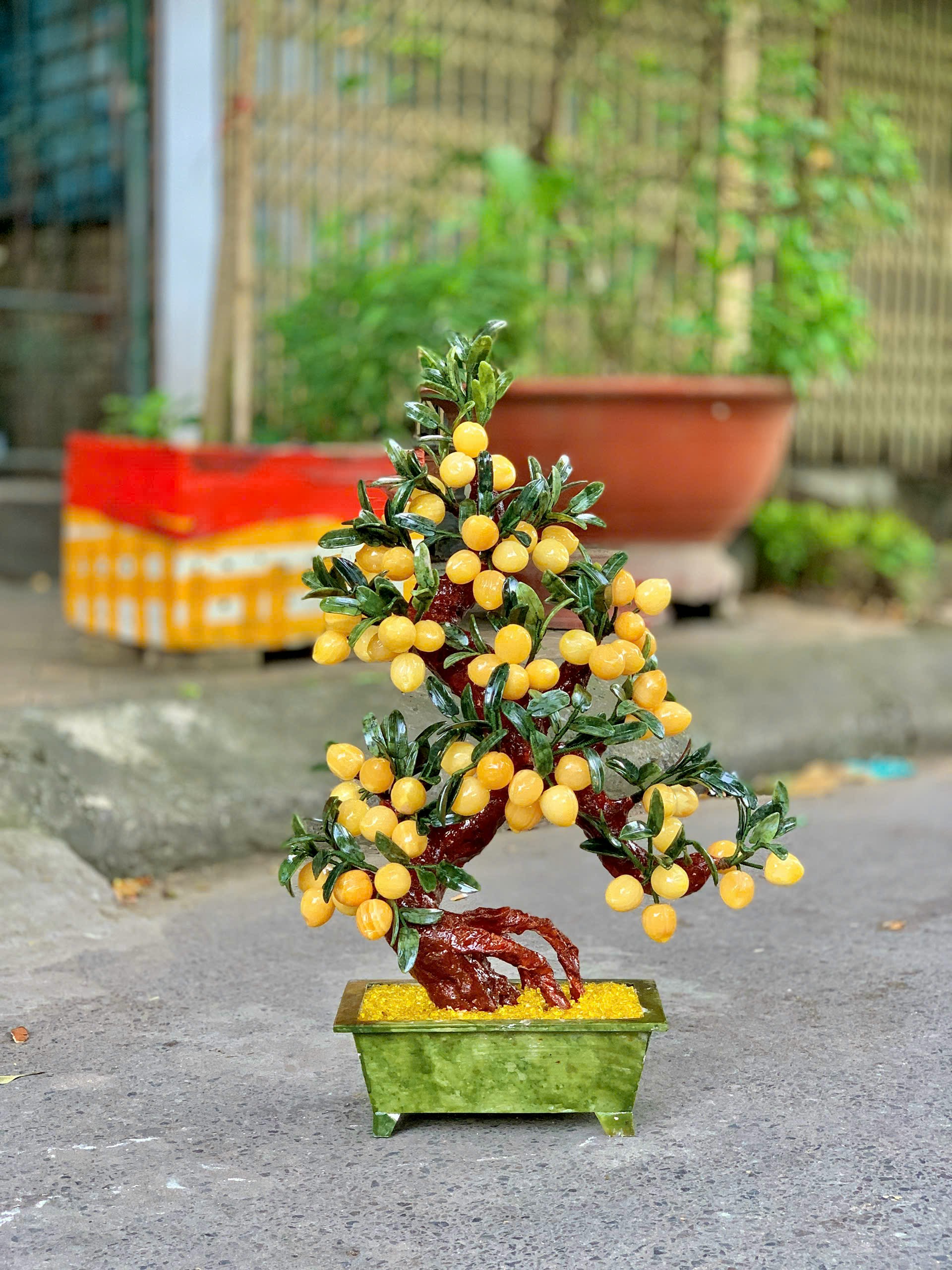 Cây Đào Ngọc Hoàng Long 68 quả  - Cao 73cm