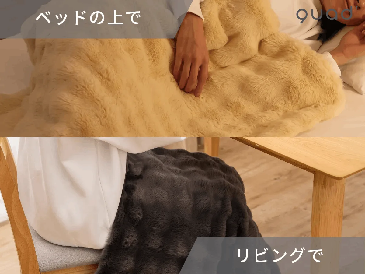 Chăn điện 2 trong 1 Toron QS433CG