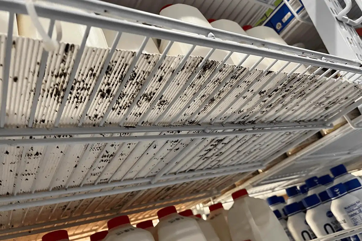 Độ ẩm cao khiến hàng hoá trong kho bị ẩm mốc, hư hỏng