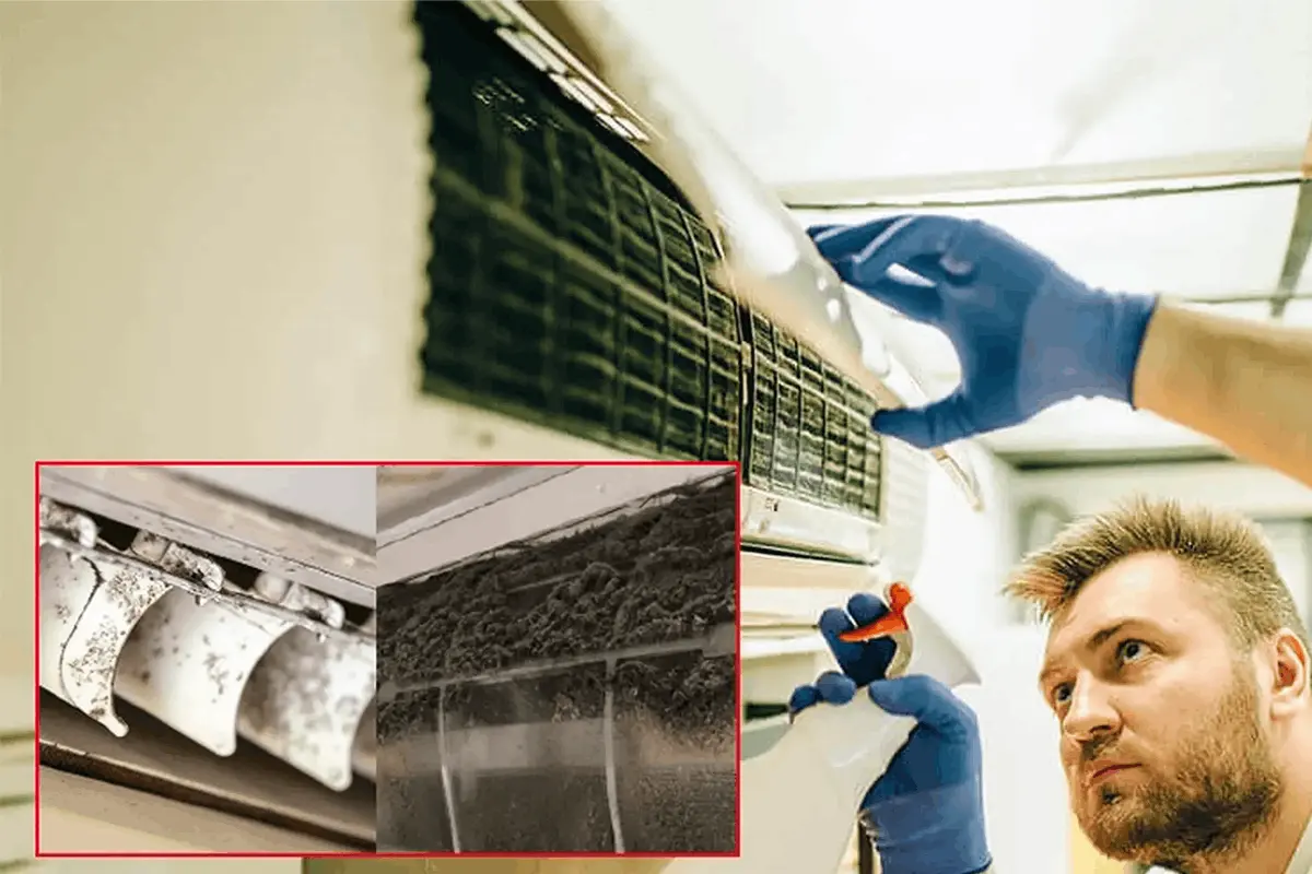 Nấm mốc, vi khuẩn và bụi tích tụ trong máy lạnh gây mùi