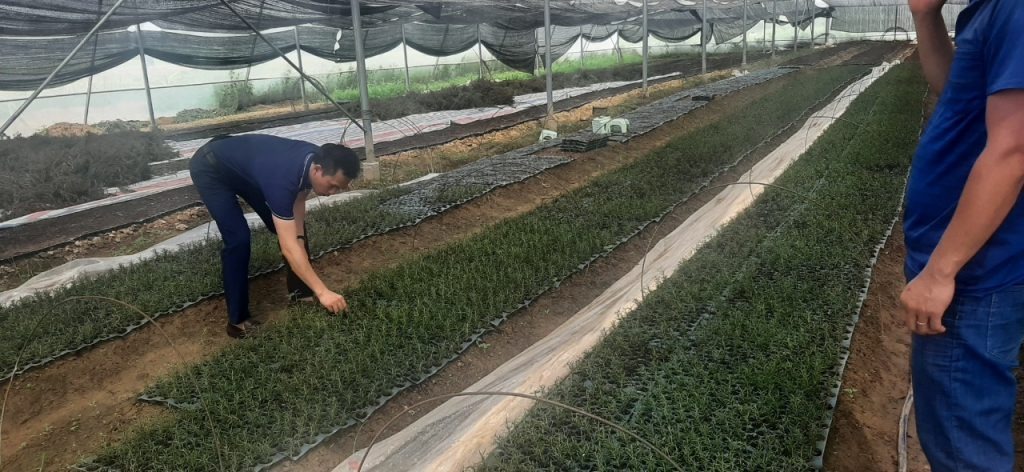 Lợi ích từ canh tác theo hướng Nông nghiệp hữu cơ