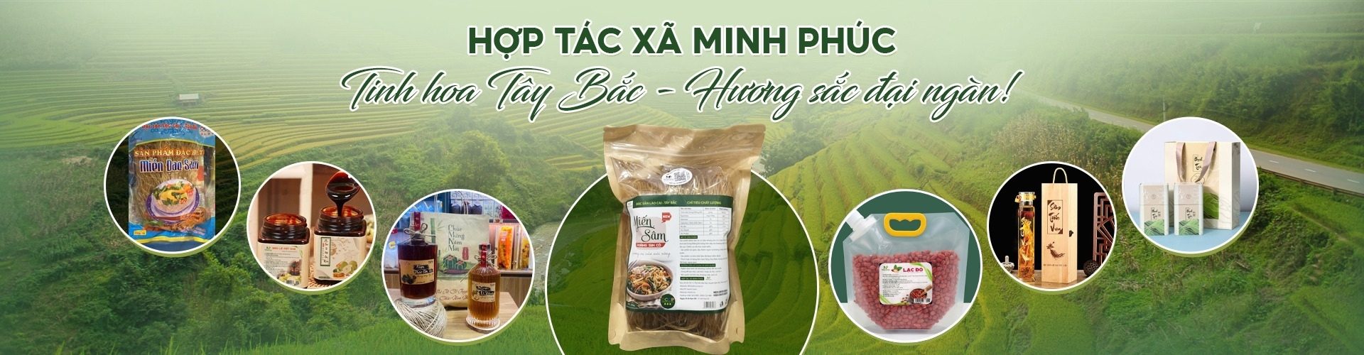 Hợp tác xã Minh Phúc