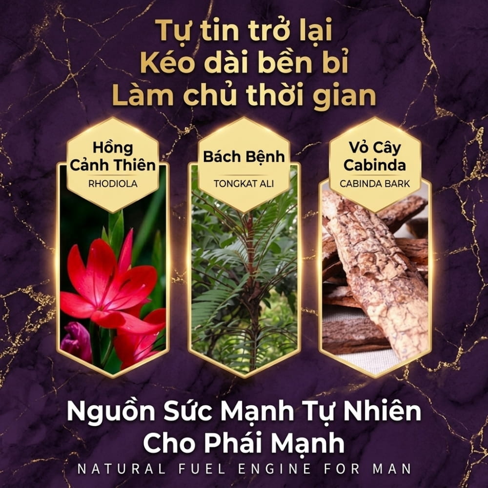 Chi tiết thành phần thảo mộc an toàn của chai xịt thảo dược ChuanJing