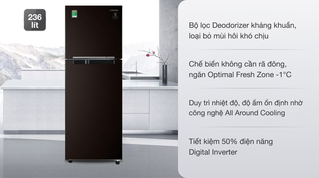 Tủ lạnh Samsung Inverter 236 lít
