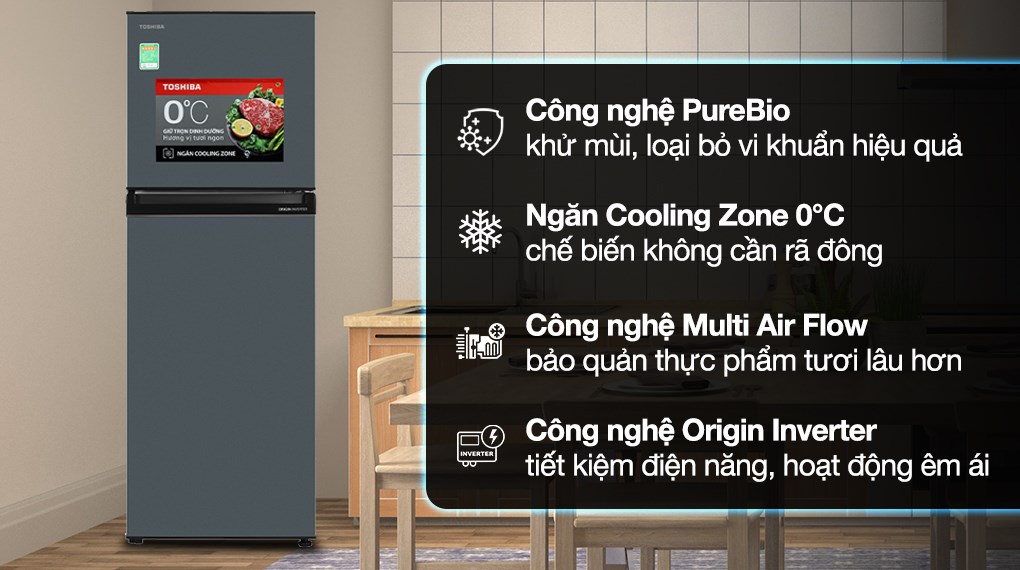 Tủ lạnh Toshiba Inverter 233 lít