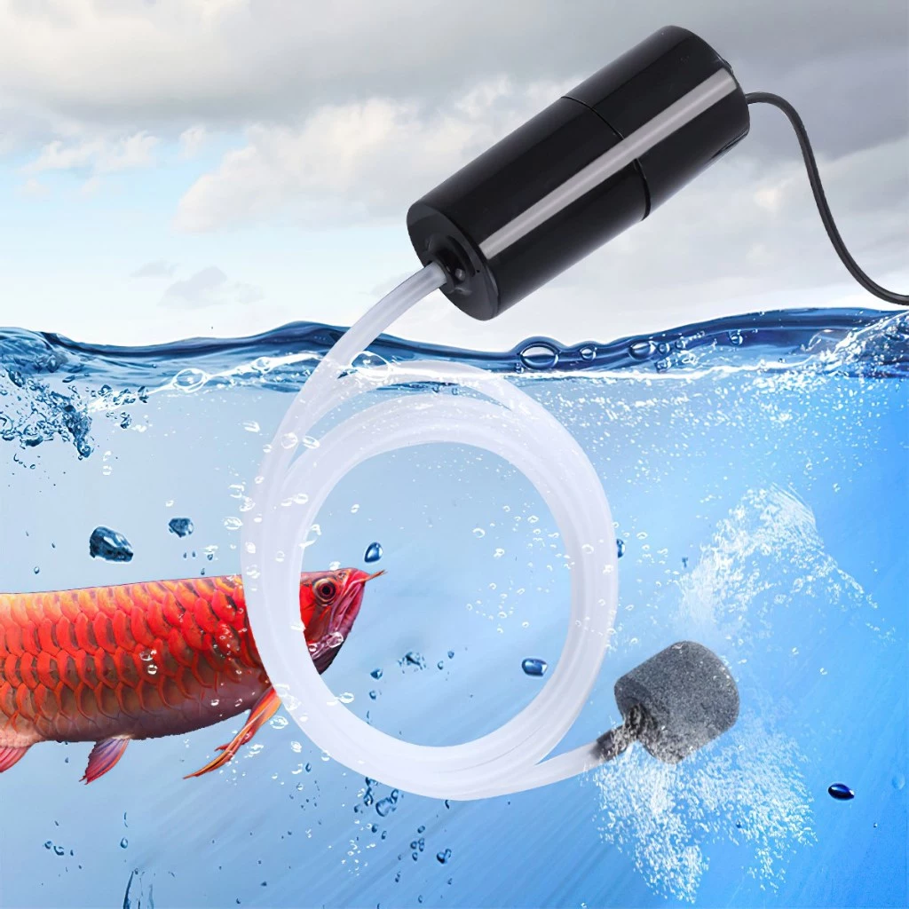 Máy bơm Oxy cho cá đầu usb