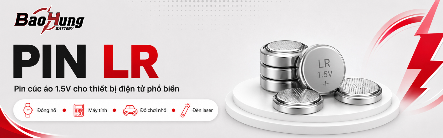 Pin LR