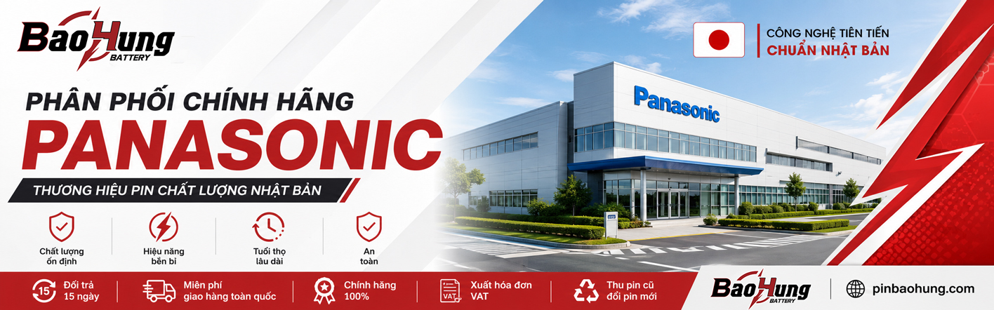 Panasonic