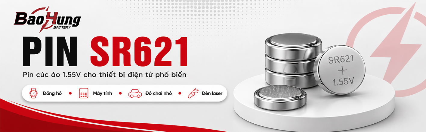 Pin SR621