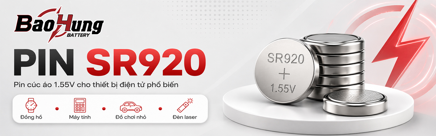 Pin SR920