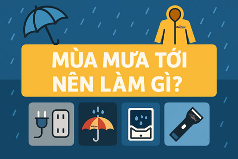 Mùa Mưa Tới Nên Làm Gì? Những Việc Cần Làm Ngay Để Không Bị Bị Động