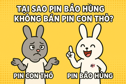 Tại Sao Pin Bảo Hùng Không Bán Pin Con Thỏ?