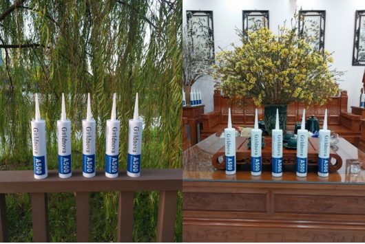 keo Goldnova Hà Nội