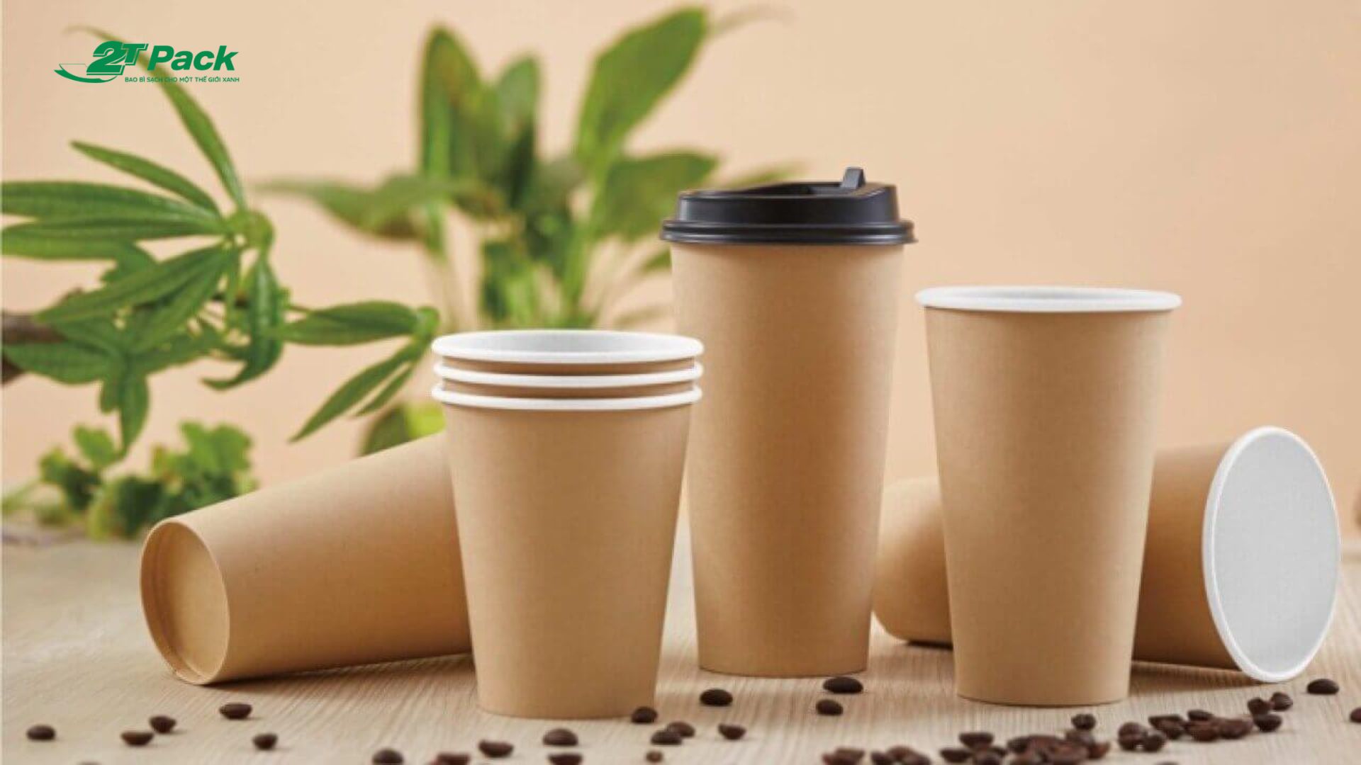 Cốc giấy 2 lớp (Double Wall)