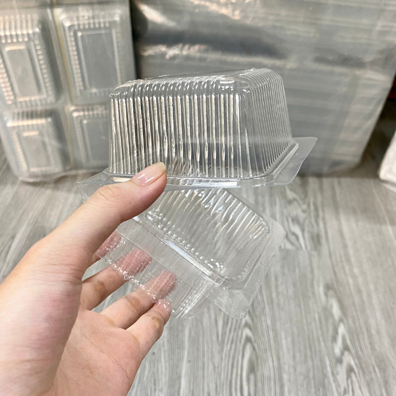 Hộp Nhựa Trong Suốt H05