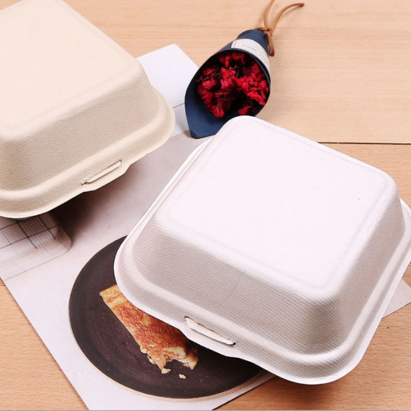 Hộp Bã Mía 1 Ngăn Hamburger