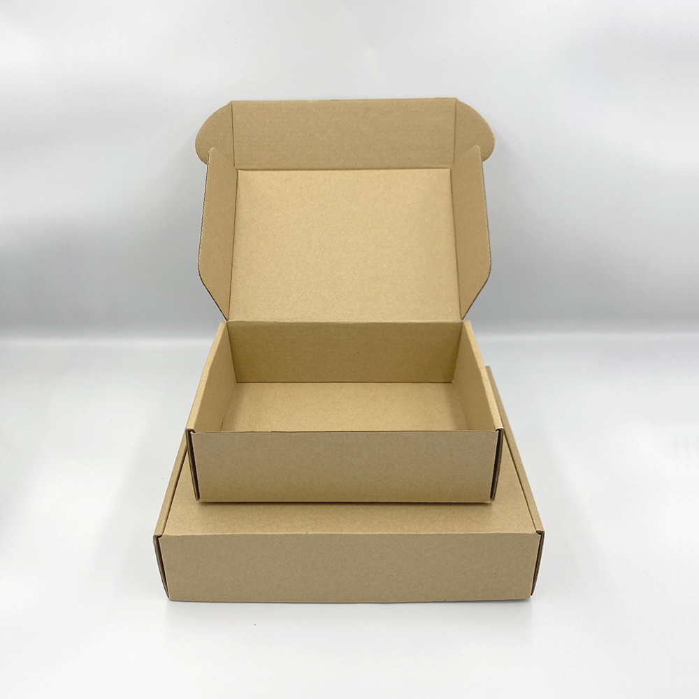 Hộp Carton Nắp Gài