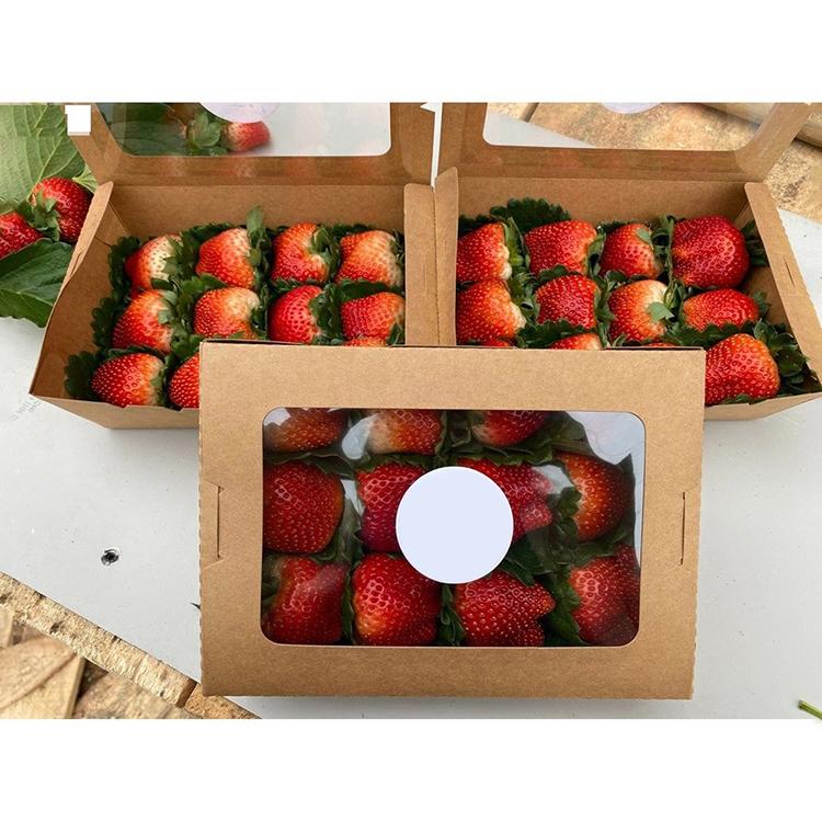 Hộp Kraft Cửa Sổ Bóng Kính