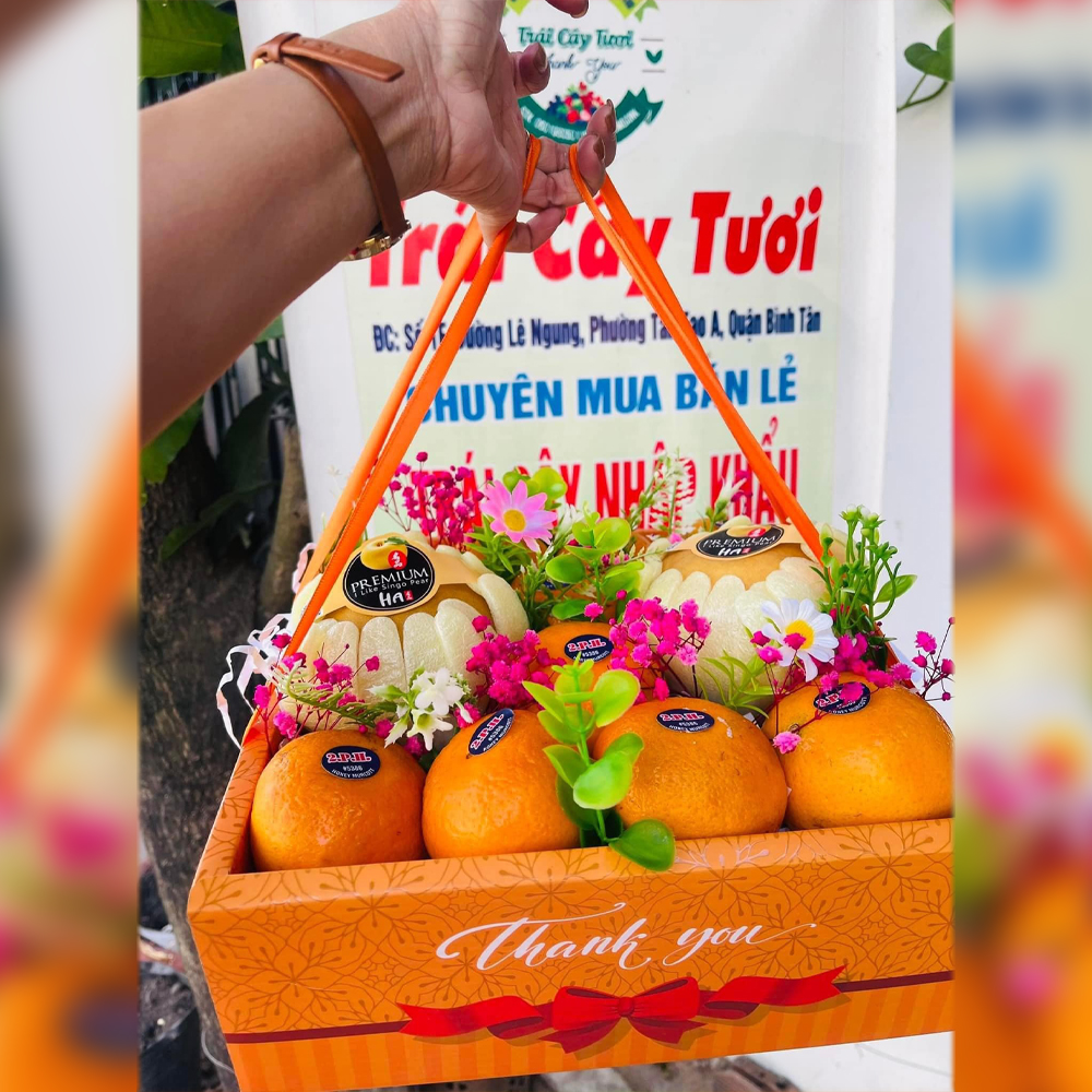 Hộp Đựng Hoa Quả, Trái Cây Nhập Khẩu (Họa Tiết In UV)