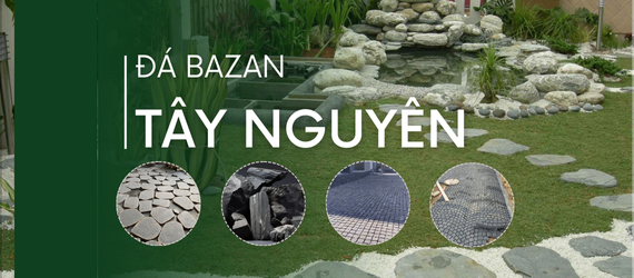 Bazan Tây Nguyên
