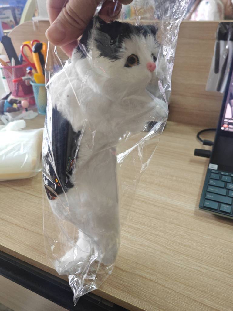 Mèo Decor