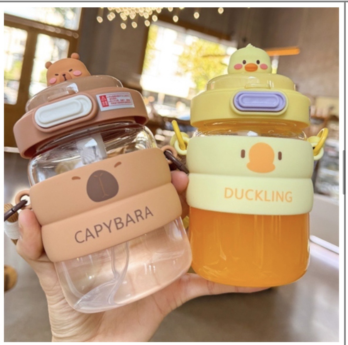 Bình Nước Thú Thuỷ Tinh 480ml