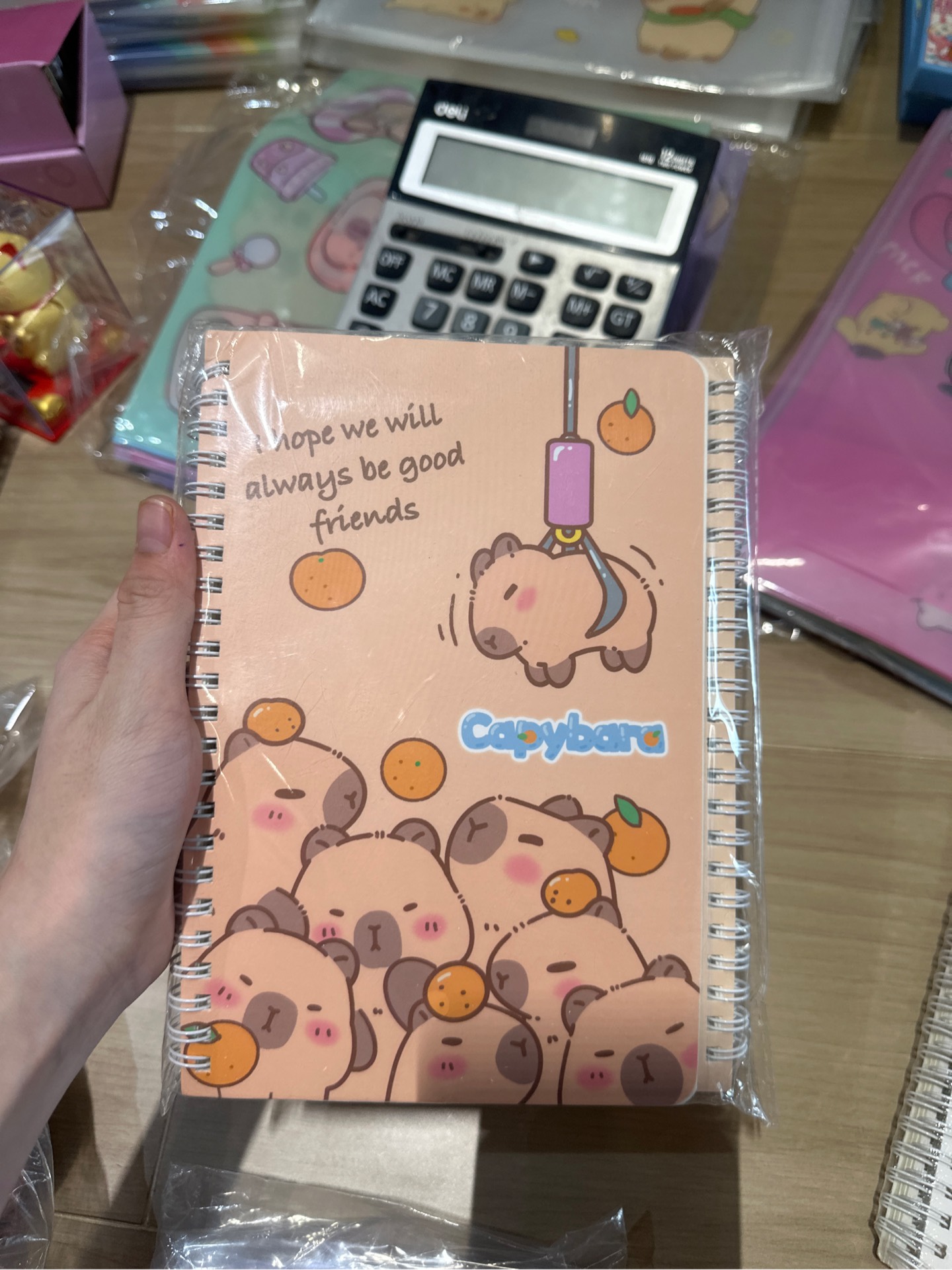 Sổ Lò Xo A5 Cabybara