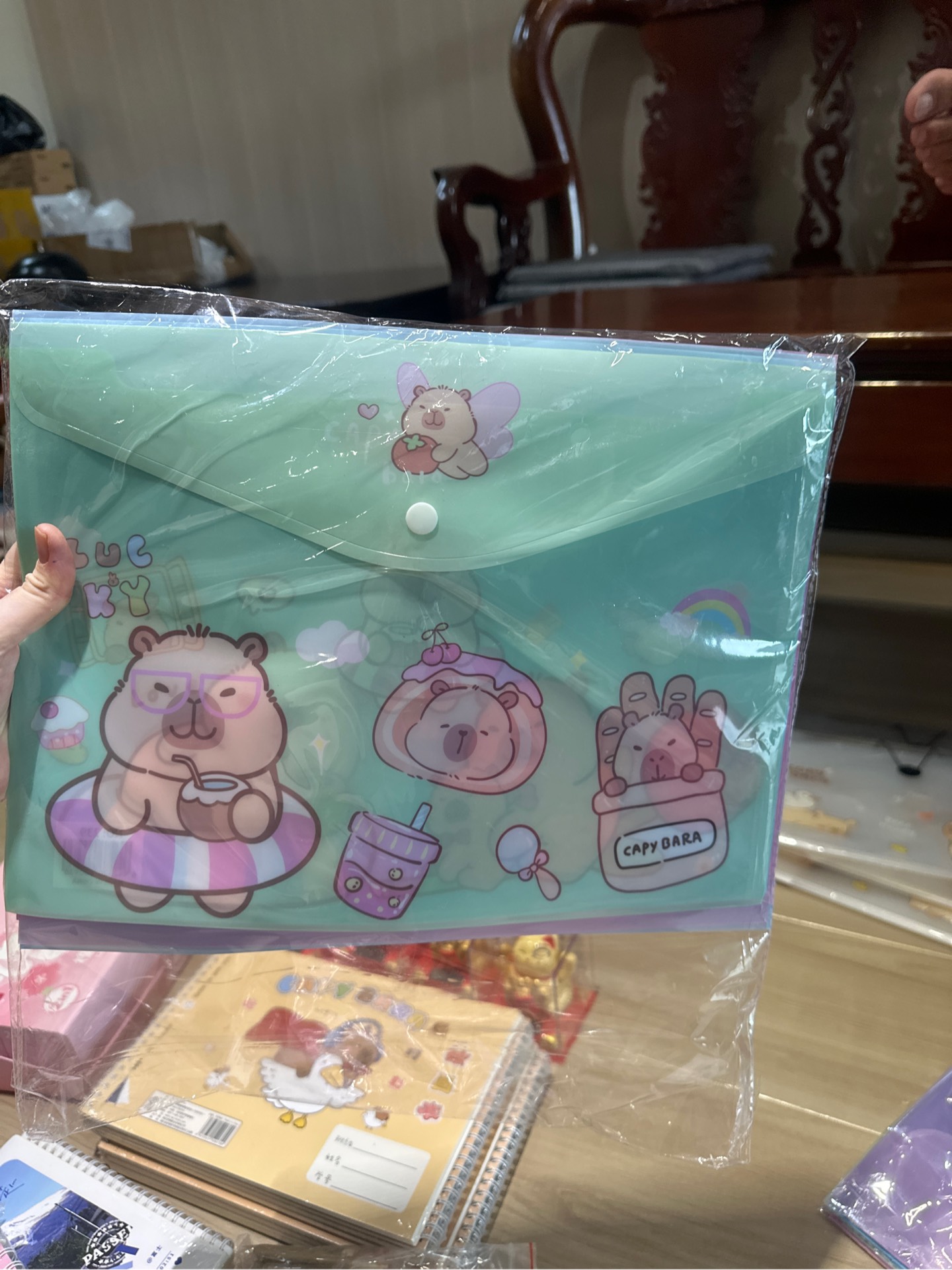 Túi Clear Hoạt Hình A4 Ngang