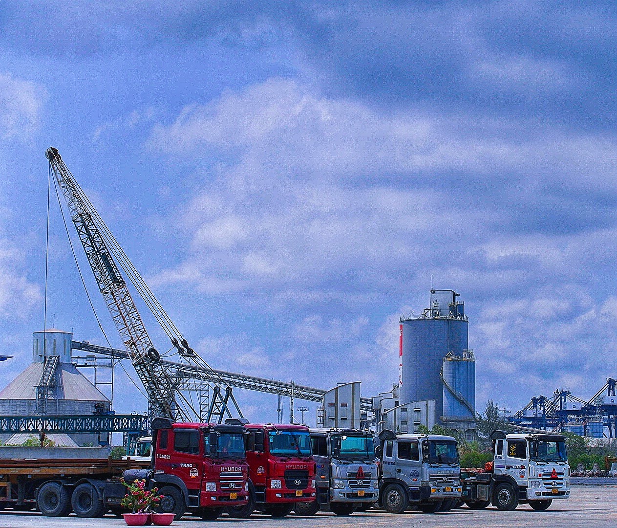 Dịch vụ vận chuyển