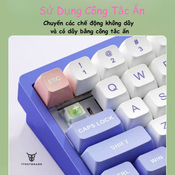 [Sẵn Hàng Hỏa Tốc] Bàn Phím KIT LUCKY65 - Nôm CNC - 3 Mode Kết Nối - Tạ Đáy - Hotswap - Mạch Xuôi - Led RGB - TTKeyboard