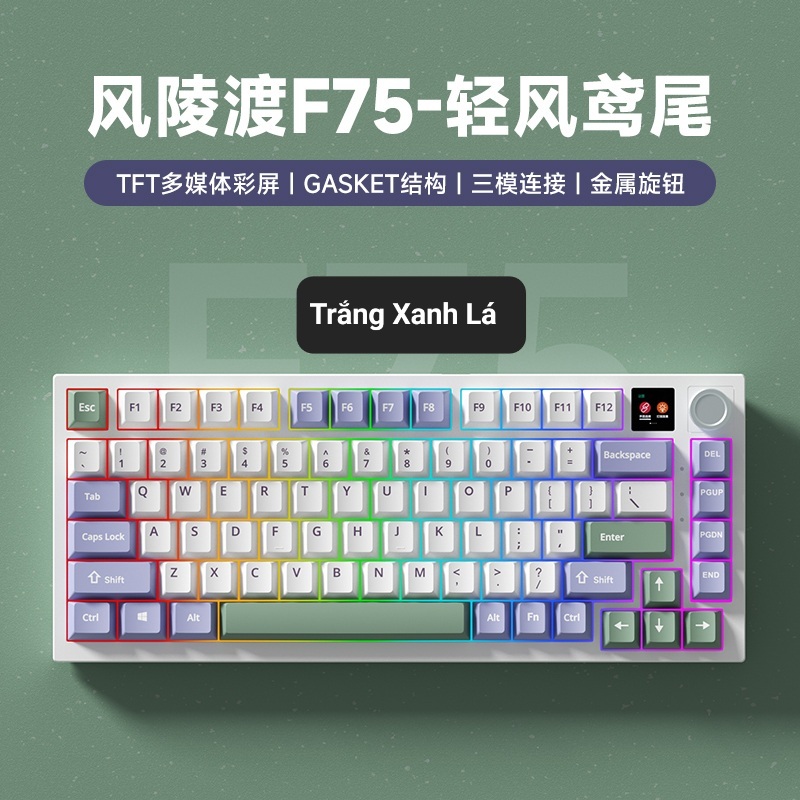 [Hỏa Tốc] Bàn Phím Cơ Không Dây WEIKAV F75 - 3 Mode - Có Màn - Có Núm - Hotswap - Led RGB - Giá Rẻ- TTKeyboard