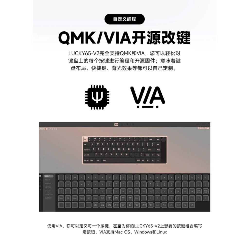 [Hỏa Tốc] Bàn Phím Cơ LUCKY65 V2| Nhôm CNC| 3 Mode | Tạ Crystal | VIA | Ball Catch | Hotswap Mạch Xuôi | Led RGB