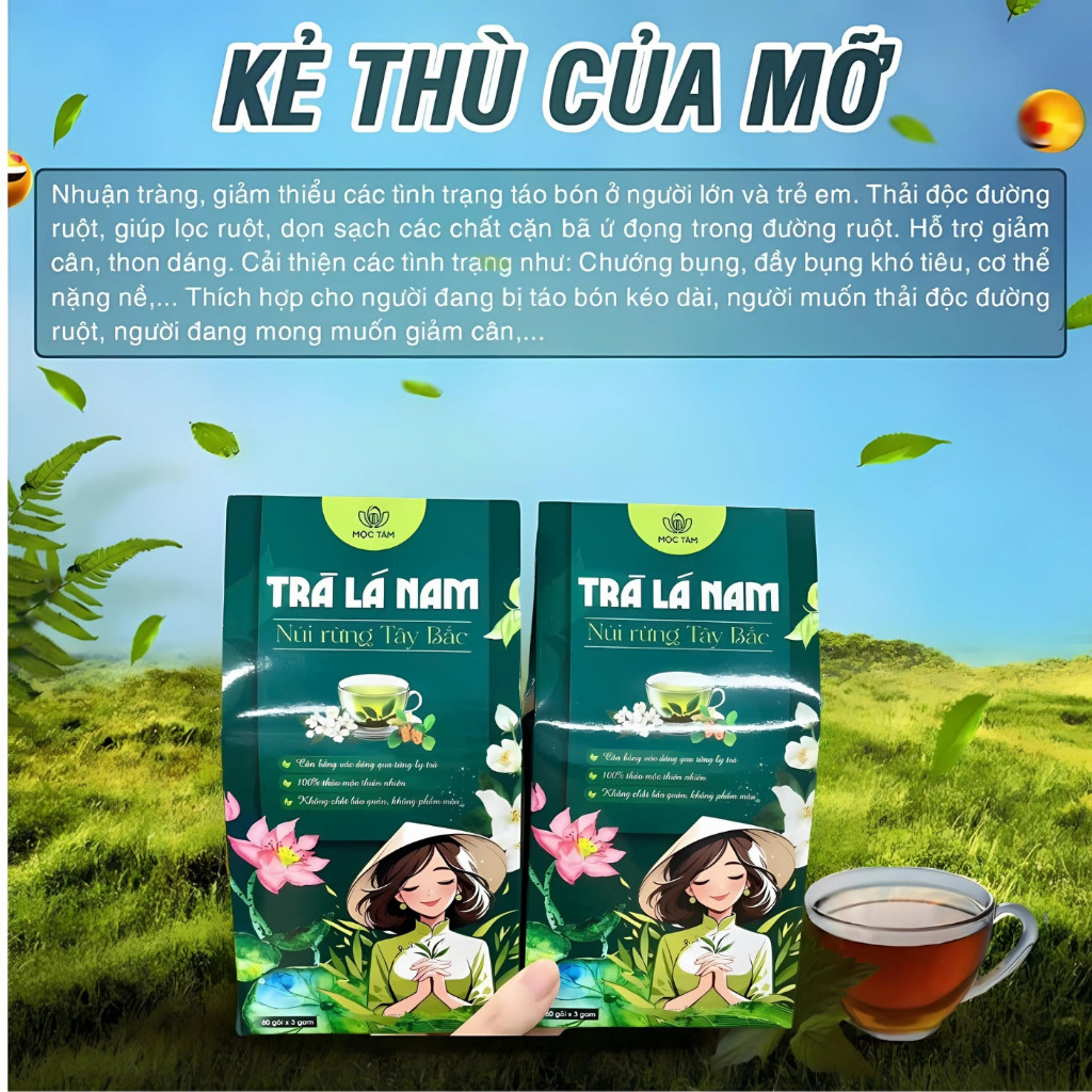 Trà lá nam 10 vị chính hãng detox giảm cân thải độc gan an toàn hiệu quả, hộp 60 gói