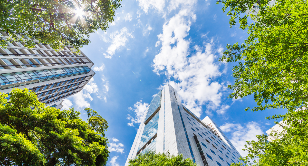 Green Architecture: The Role of Steel in Sustainable Trends