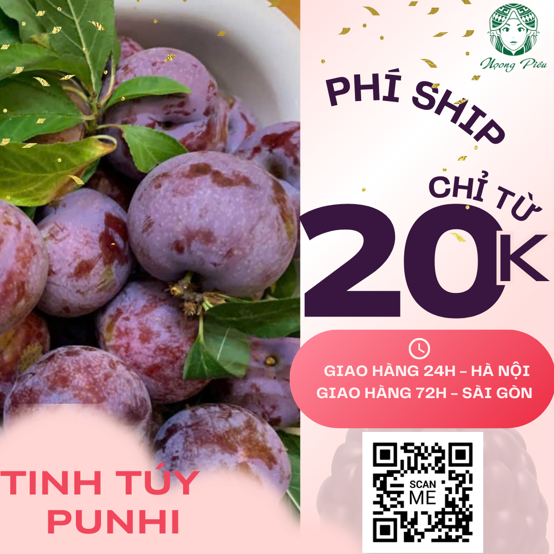 🚛 MẬN PUNHI – GIAO TẬN NHÀ CHỈ SAU 24H - bạn không cần lên núi punhi – hương vị mận thượng hạng sẽ đến tận cửa nhà bạn.