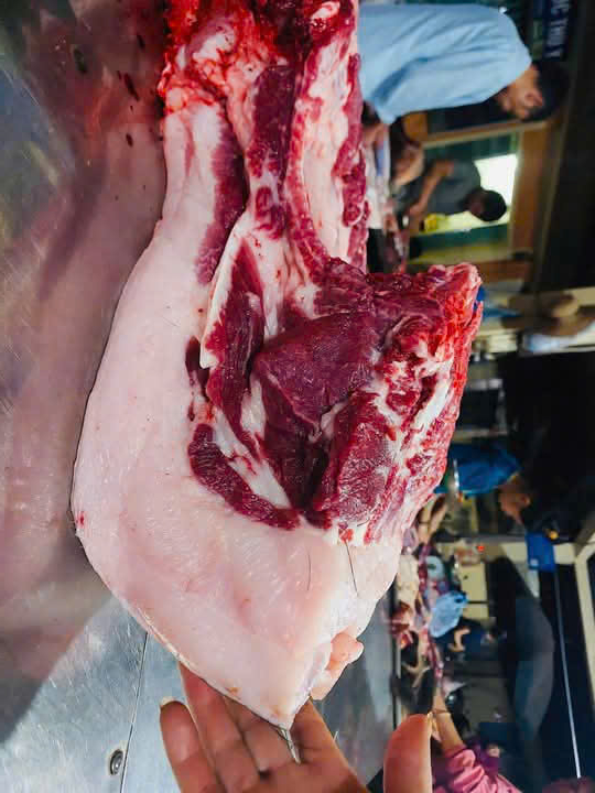 Mỡ Lơn Bản